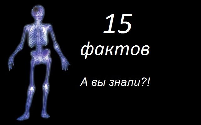 Занимательные факты о человеческом организме
