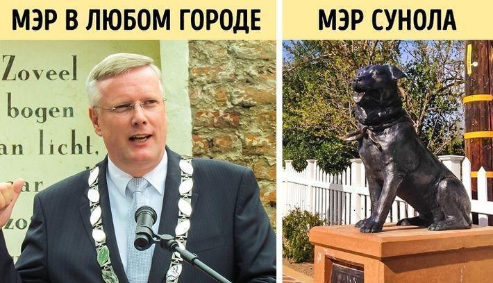 15 забавных фактов, которые изменят ваше представление о мире 15 забавных фактов, которые изменят ваше представление о мире