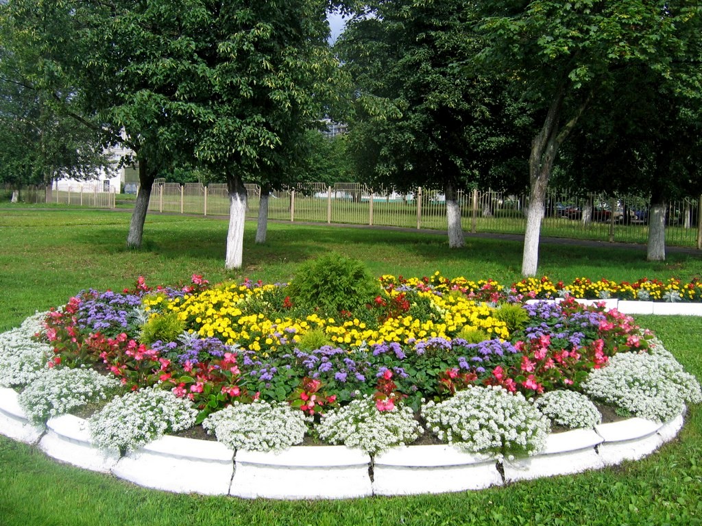 Клумба круглая с цветами Клумба круглая с цветами