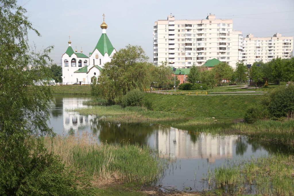 Территорию у пруда благоустроят/Артур Новосильцев, архив газеты «Восточный округ»