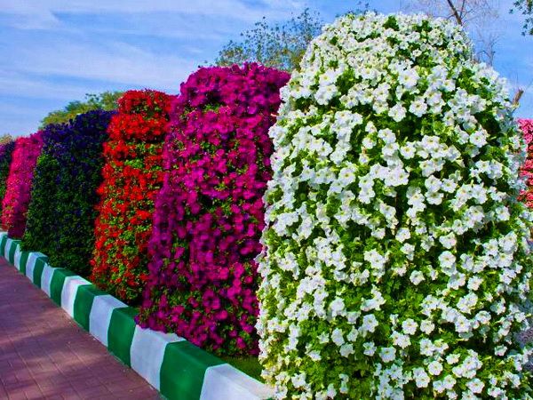 Клумбы вертикальные своими руками фото Клумбы вертикальные своими руками фото
