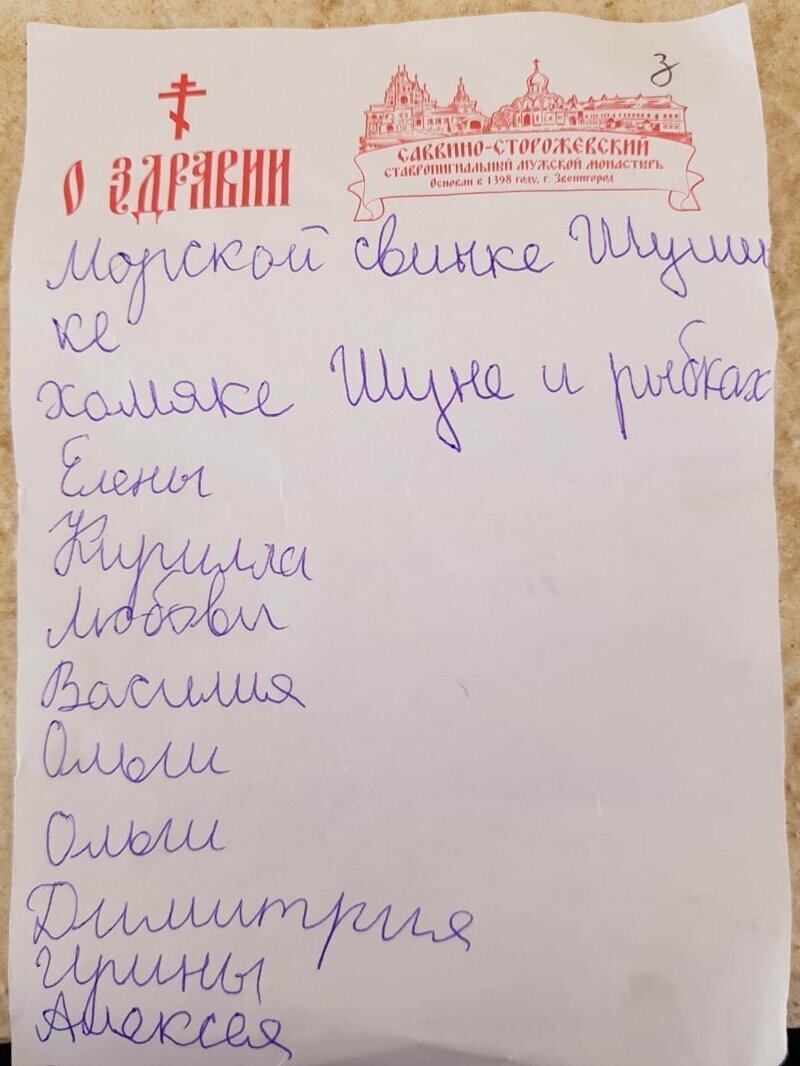 Молебен за кого или что угодно - самое добрейшее из дел Высшие силы везде помогут
(21 фото)