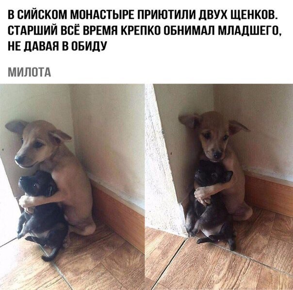 Немного ехидства, сарказма, стёба и даже чистого юмора вам в ленту!!! Немного ехидства, сарказма, стёба и даже чистого юмора вам в ленту!!!