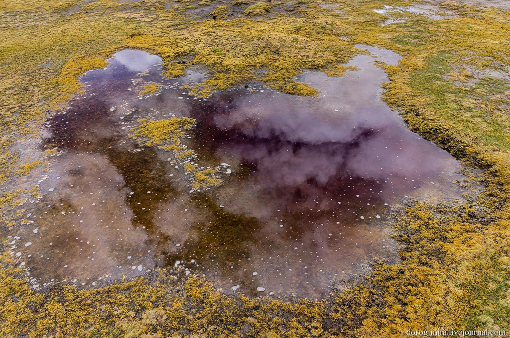 Sajama19 Национальный парк Сахама