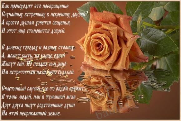 Открытка со стихами на день рождения друга Открытка со стихами на день рождения друга