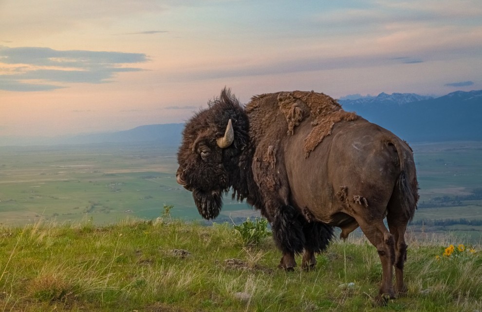 NatGeoTraveler10 NatGeoTraveler10 Фотоконкурс от журнала National Geographic Traveler 2013 (Часть 2)