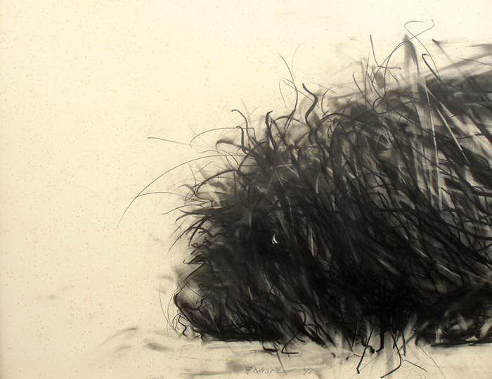 Собачки в рисунках Endre Penovac Собачки в рисунках Endre Penovac