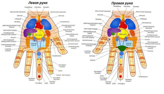 Массаж по точкам на руке пальцы Массаж по точкам на руке пальцы