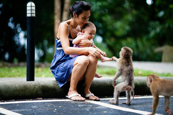 Лучшее с АdMe Photo Awards 2014 за неделю