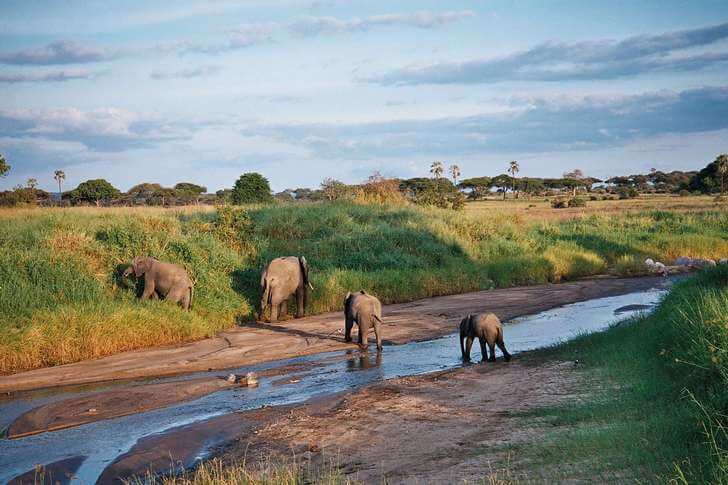 Национальный парк Руаха ruaha