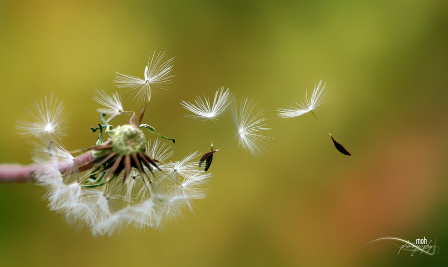 10 ������ ��������������� 2014 ���� �� ������ ����� 500px