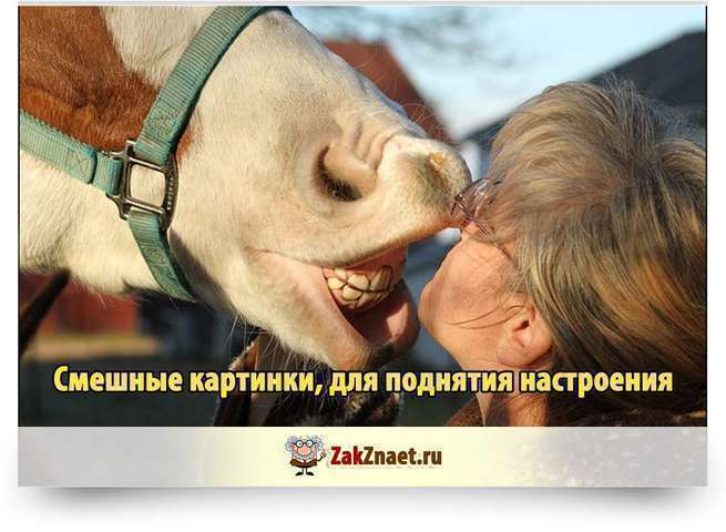 Веселые картинки. Смотрим. Улыбаемся.