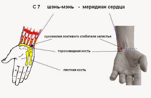 6 волшебных точек на руках от усталости, головной боли и проблем с сердцем 6 волшебных точек на руках от усталости, головной боли и проблем с сердцем
