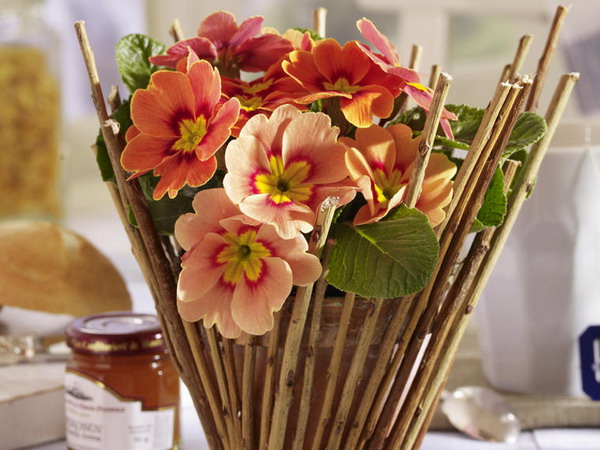 31 
������������ �������� ������ ������: ���� (40 ����)