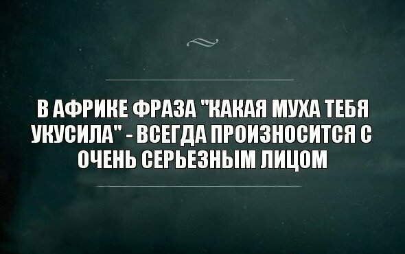 Игра слов и никакого мошенничества Игра слов и никакого мошенничества
(18 фото)