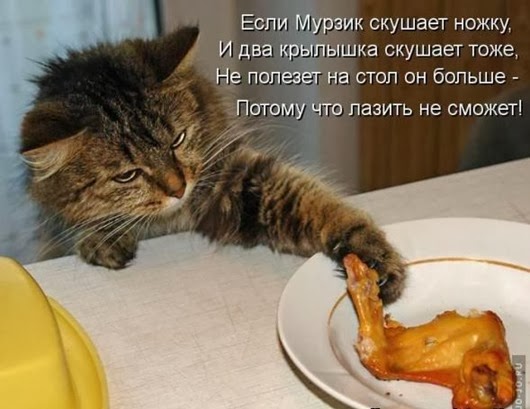 db2995490699c0bb75d0c4162fe_prev