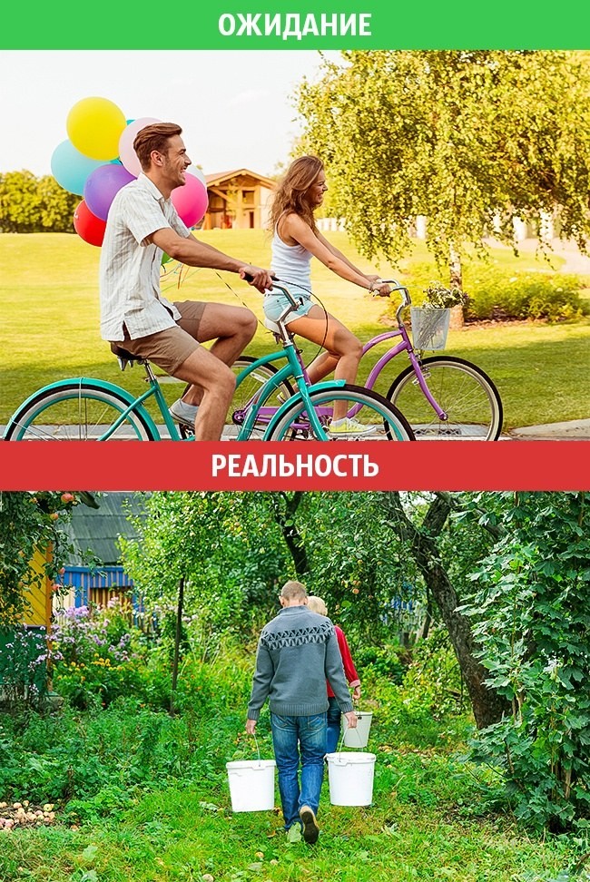 Идеальная семейная жизнь: ожидание vs. реальность Идеальная семейная жизнь: ожидание vs. реальность