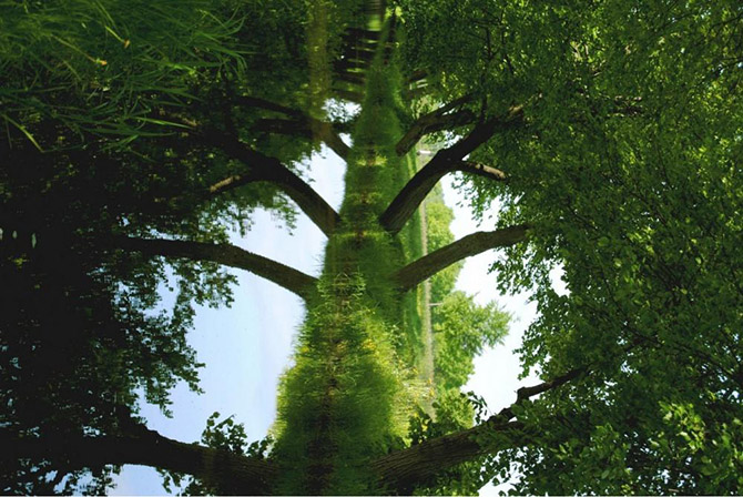 30 dMe Photo Awards 2014