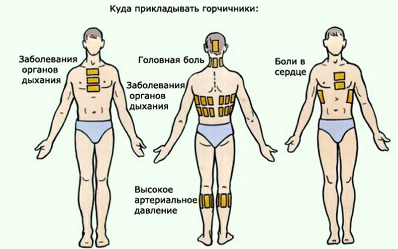 как приготовить горчицу