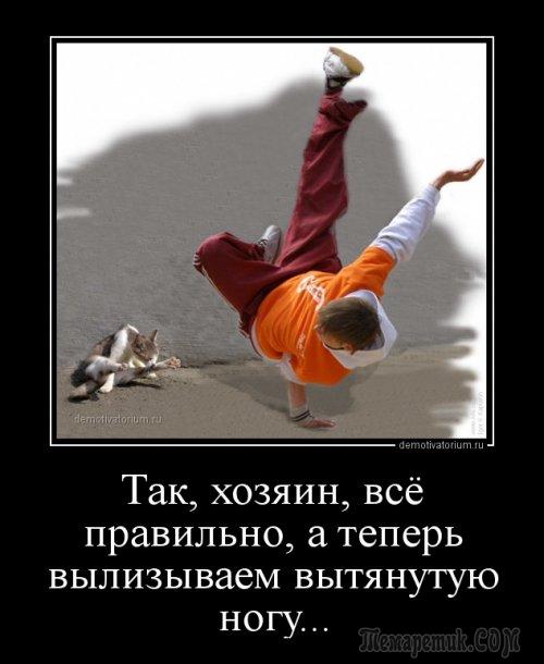 Мир глазами кота