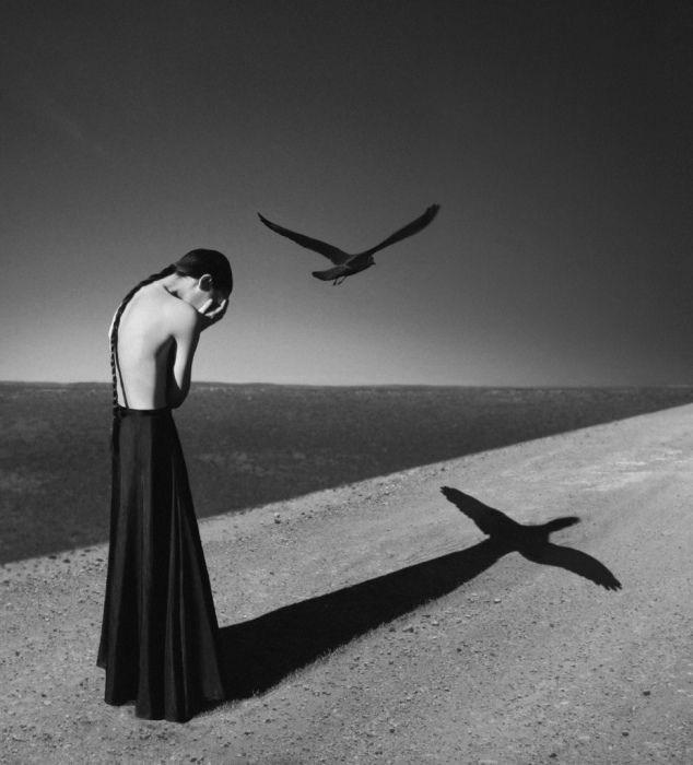   Noell S. Oszvald