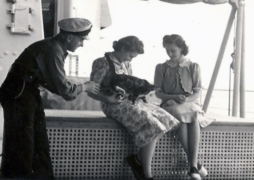 ����� ����������� � �������-���������