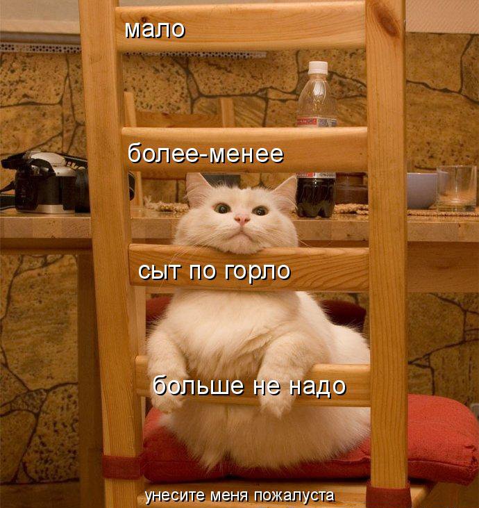 КОТЭ как есть КОТЭ