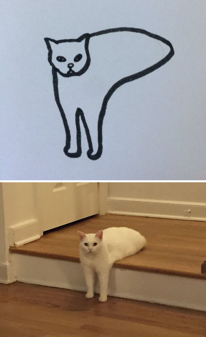 Poorly Drawn Cat