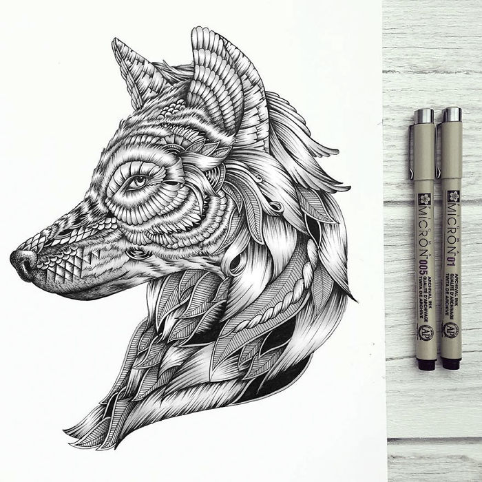 Animal Drawings