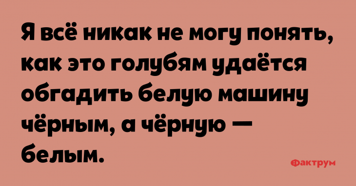 Я все никак не могу понять, как это голубям удаётся обгадить белую машину чёрным, а чёрную — белым. Анекдот про голубиный помет
