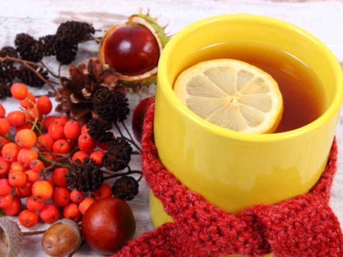 Пить чай с лимоном очень вкусно, но это не лекарство. /Фото: 1.bp.blogspot.com Пить чай с лимоном очень вкусно, но это не лекарство. /Фото: 1.bp.blogspot.com