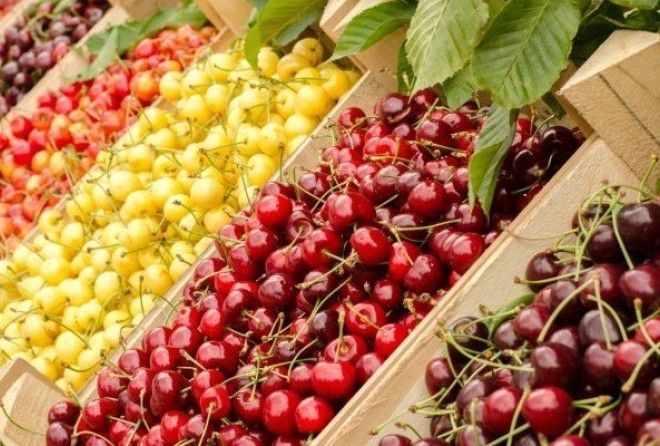 Летнее решение проблем здоровья и старения