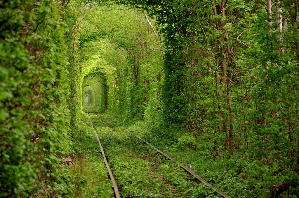 7156 Заброшенные железные дороги