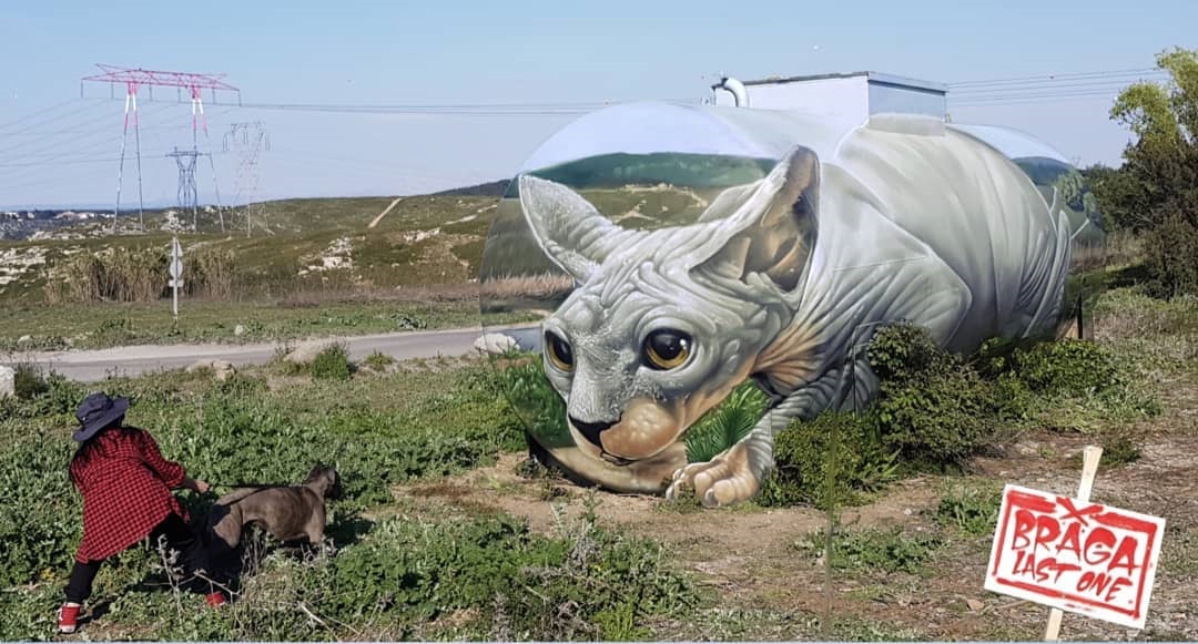 Брага (1).jpg Брагадо и кот
