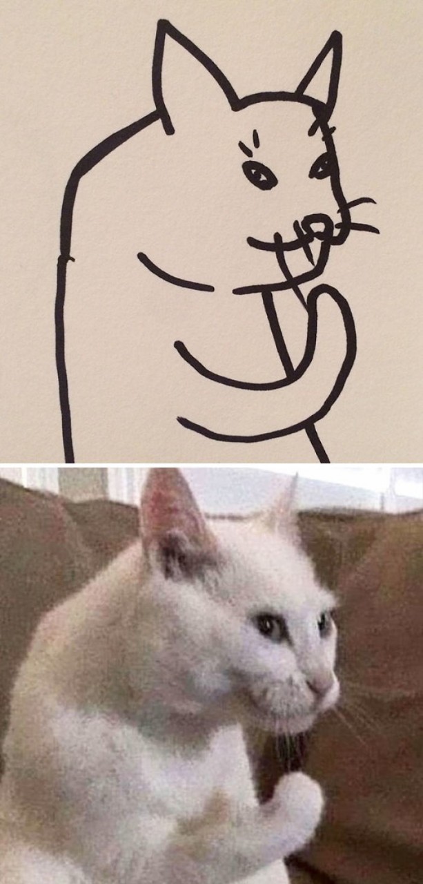 Poorly Drawn Cat