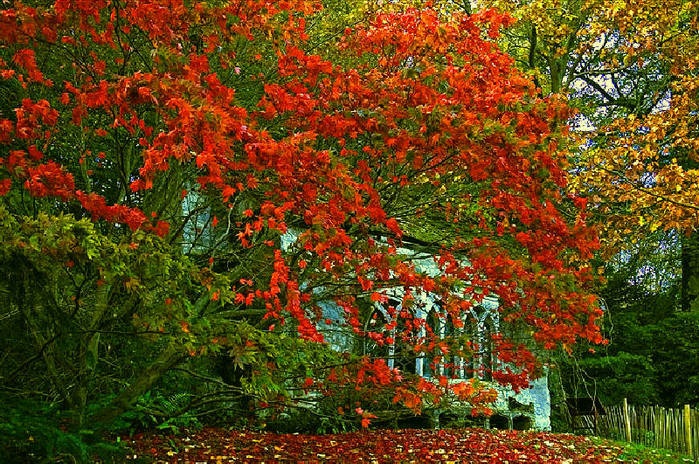 Дивная красота нашей матушки-Земли от Михалыча