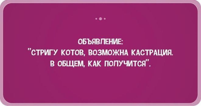 28 жизненных открыток-адреналинок, которые 100% вас порадуют 28 жизненных открыток-адреналинок, которые 100% вас порадуют