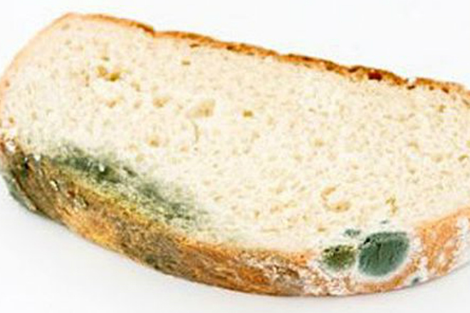 Как влияет на здоровье хлеб с плесенью