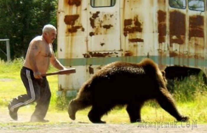 Эту страну не победить: 20 юмористических фотографий о России и ее жителях