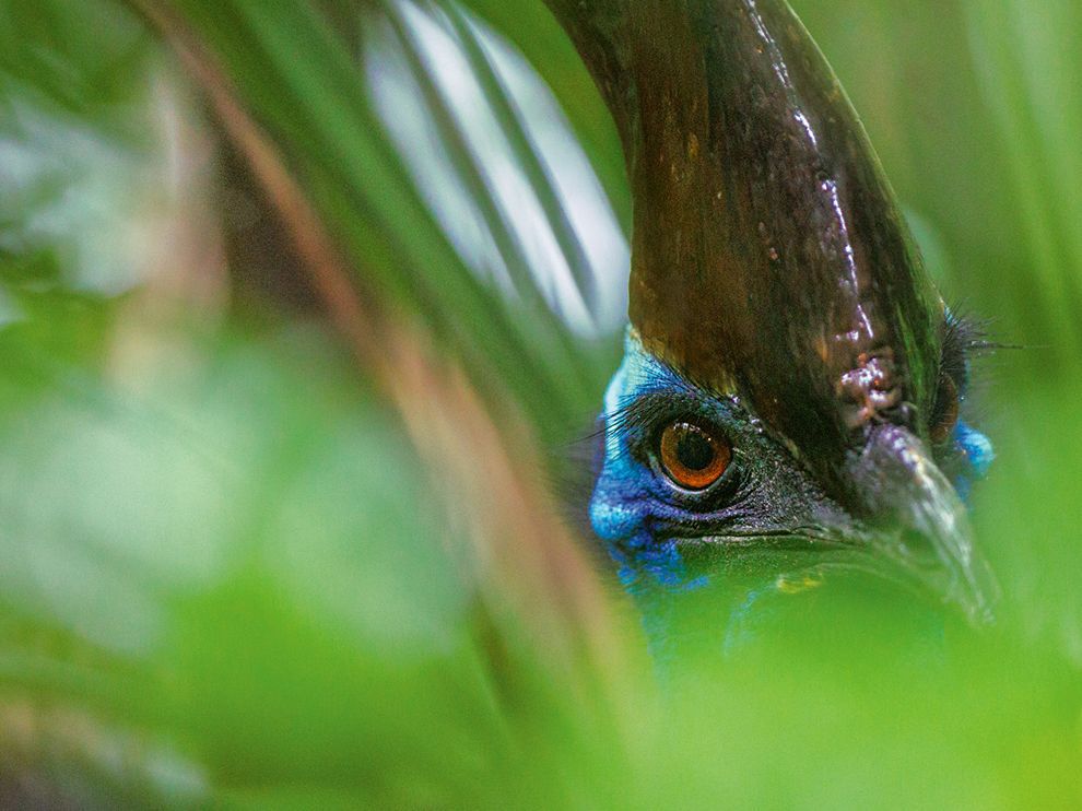 Лучшие фото National Geographic