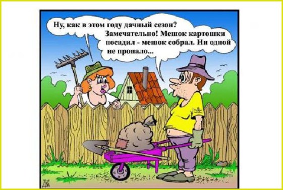 Смешные дачные истории в картинках