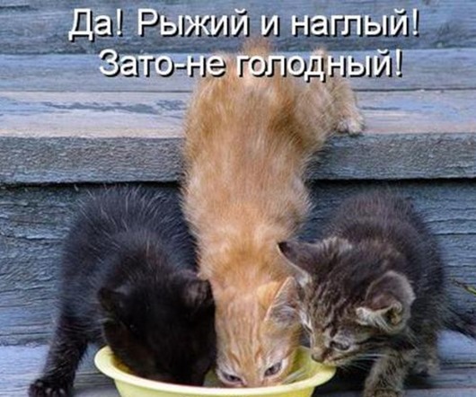 e0185d5c9137f8143792e98f0fd_prev