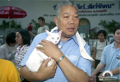 ����� ����������� � �������-���������