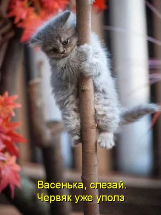 84d584ec63431129d1f04c4b82e