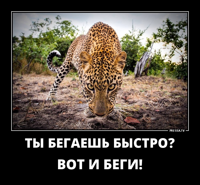 Позитивные летние демотиваторы о жизни Позитивные летние демотиваторы о жизни