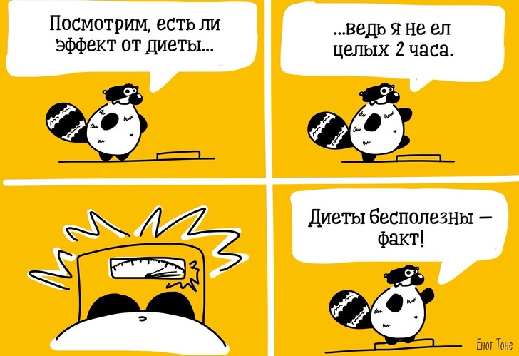 Пара из Петербурга рисует комиксы о ленивом еноте, который чем-то похож на каждого из нас