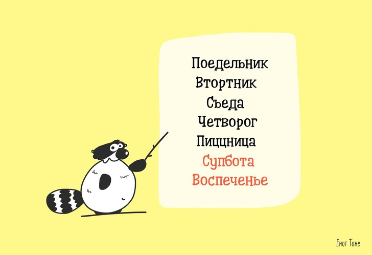 Пара из Петербурга рисует комиксы о ленивом еноте, который чем-то похож на каждого из нас