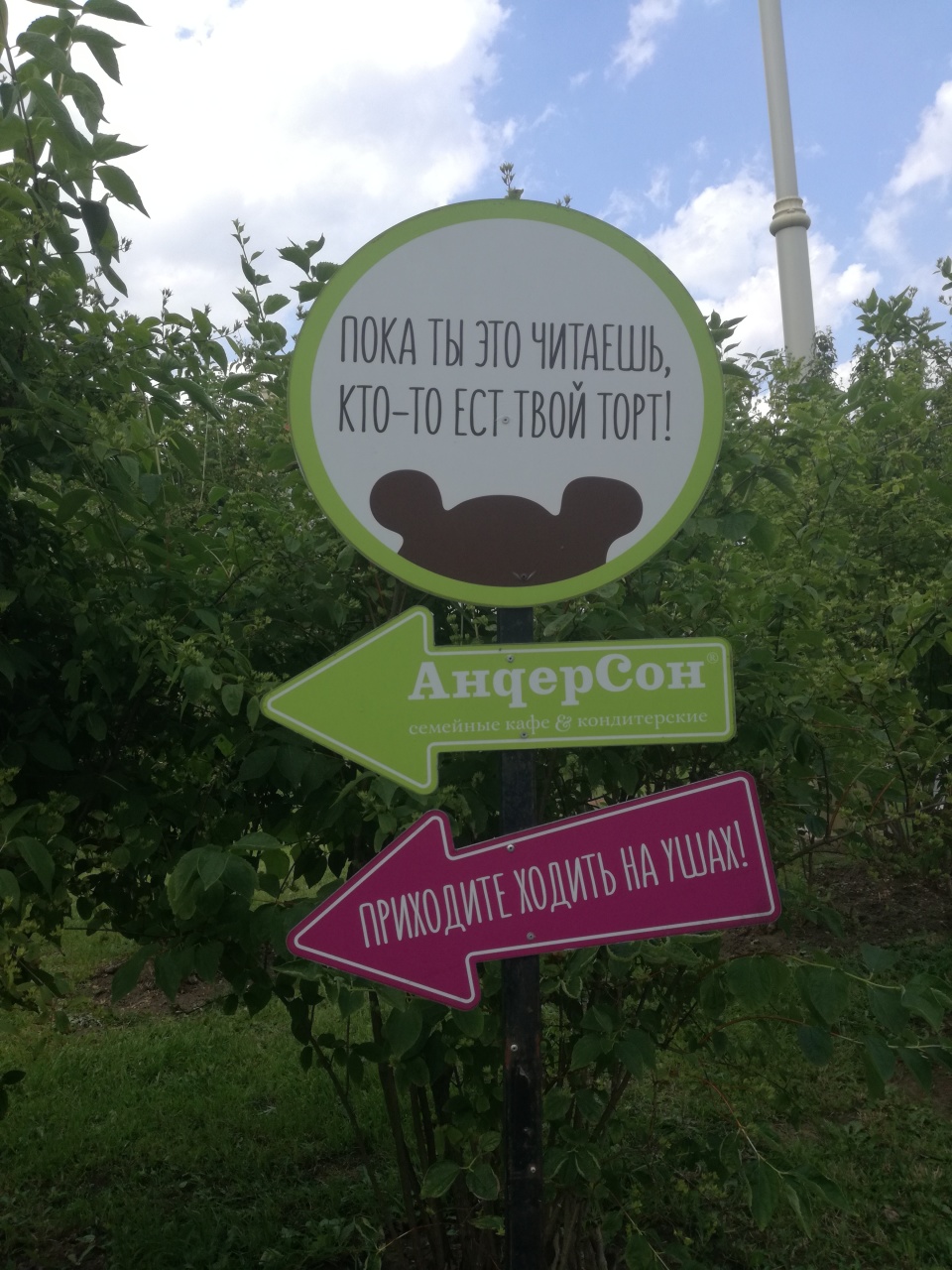 Розы ВДНХ