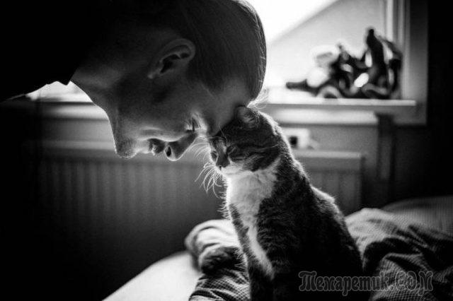 Мир глазами кота