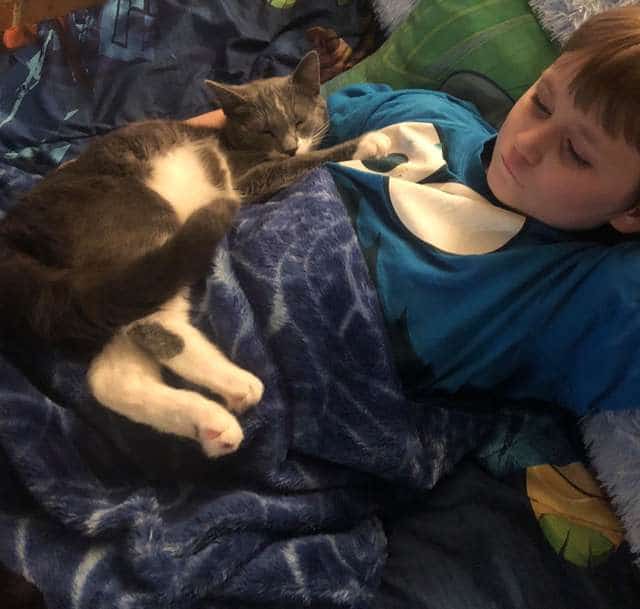 кошка дружит с ребенком мальчик с котом